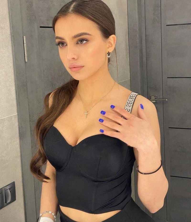 Vlada